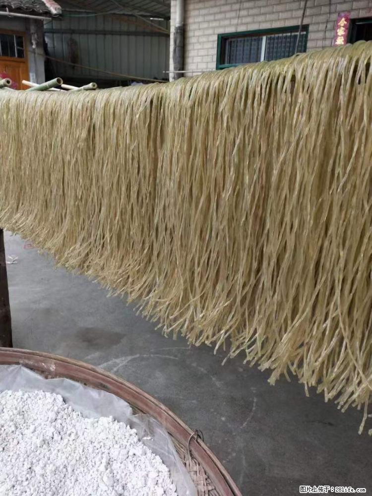 【灌阳正宗红薯粉】美女家里自己做的，干净卫生，假一赔十，价格合理，抢购电话：13737312895 - 美食天地 - 葫芦岛生活社区 - 葫芦岛28生活网 hld.28life.net