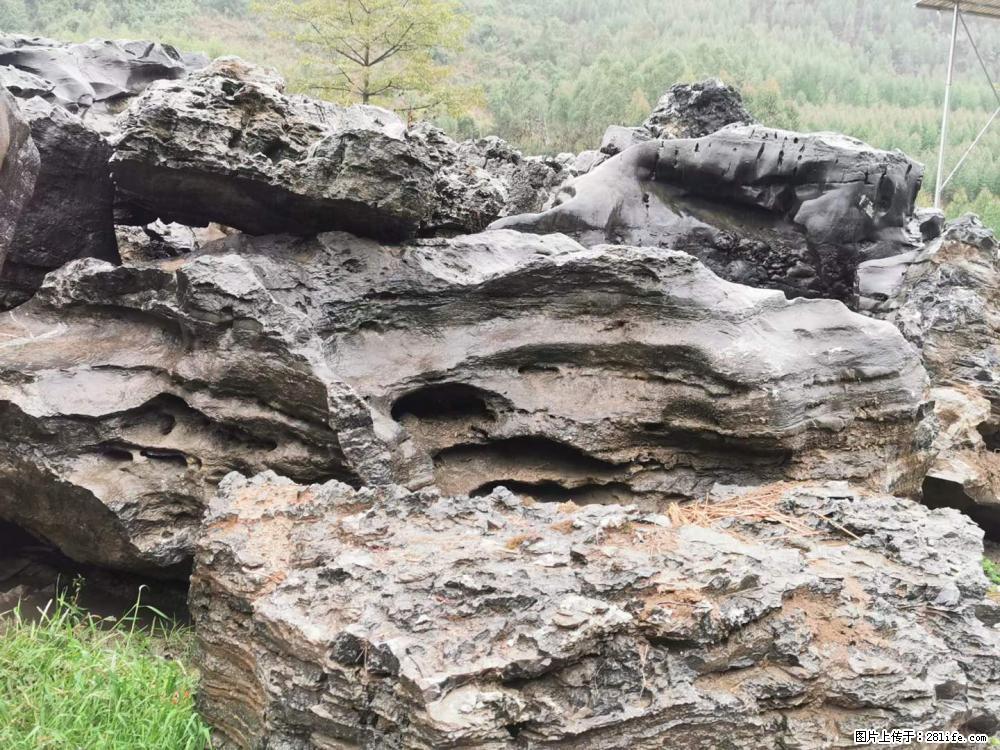 风景石、假山石大量有货，有需要的欢迎联系 - 新手上路 - 葫芦岛生活社区 - 葫芦岛28生活网 hld.28life.net