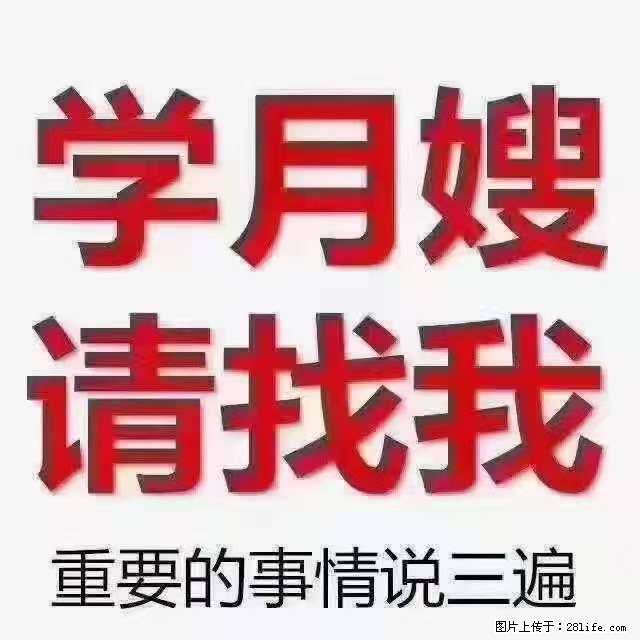 为什么要学习月嫂，育婴师？ - 其他广告 - 广告专区 - 葫芦岛分类信息 - 葫芦岛28生活网 hld.28life.net