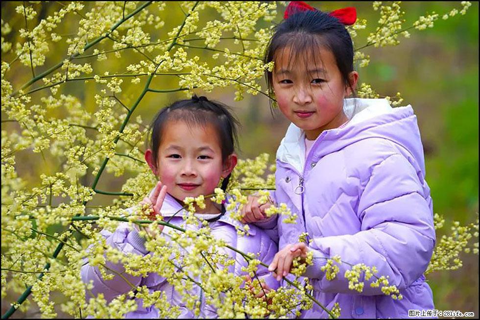 【春天，广西桂林灌阳县向您发出邀请！】米珠山前有片山苍子花在飘香 - 游山玩水 - 葫芦岛生活社区 - 葫芦岛28生活网 hld.28life.net