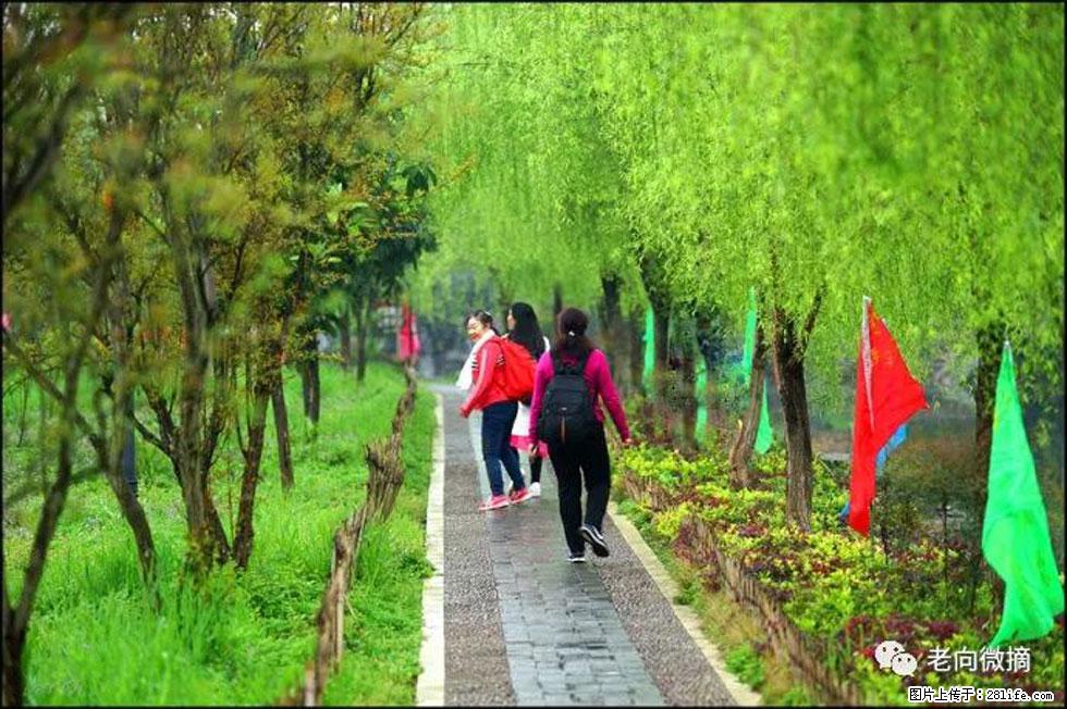 【春天，广西桂林灌阳县向您发出邀请！】江口老街又逢春 - 游山玩水 - 葫芦岛生活社区 - 葫芦岛28生活网 hld.28life.net