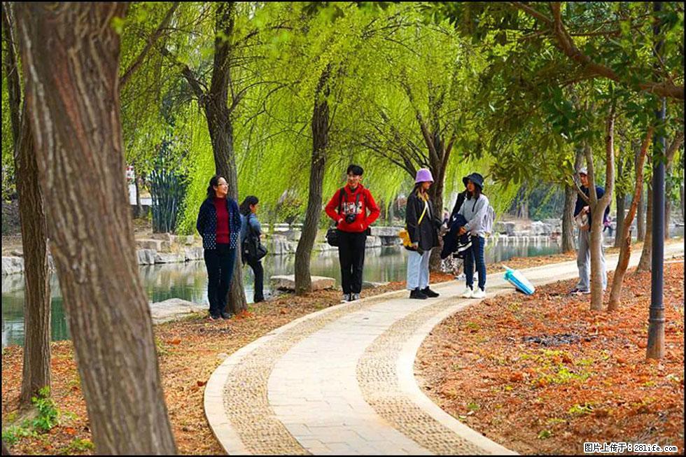 【春天，广西桂林灌阳县向您发出邀请！】江口老街又逢春 - 游山玩水 - 葫芦岛生活社区 - 葫芦岛28生活网 hld.28life.net
