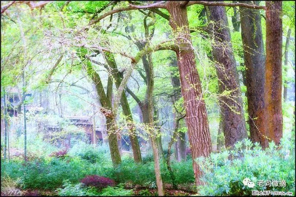 【春天，广西桂林灌阳县向您发出邀请！】在小龙村与春天约会 - 游山玩水 - 葫芦岛生活社区 - 葫芦岛28生活网 hld.28life.net