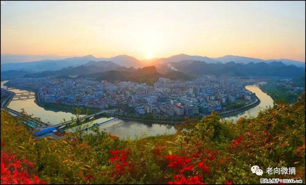 【春天，广西桂林灌阳县向您发出邀请！】登麒麟山，相约映山红 - 游山玩水 - 葫芦岛生活社区 - 葫芦岛28生活网 hld.28life.net