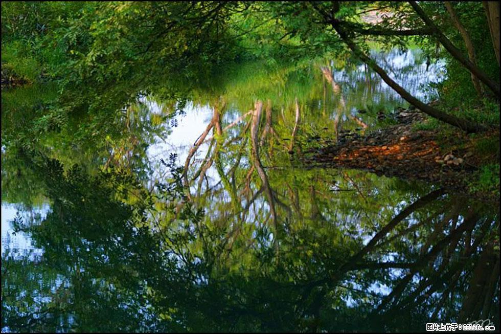 【春天，广西桂林灌阳县向您发出邀请！】熊家寨湿地公园 - 游山玩水 - 葫芦岛生活社区 - 葫芦岛28生活网 hld.28life.net