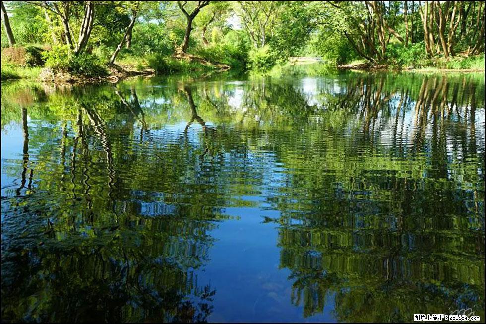 【春天，广西桂林灌阳县向您发出邀请！】熊家寨湿地公园 - 游山玩水 - 葫芦岛生活社区 - 葫芦岛28生活网 hld.28life.net