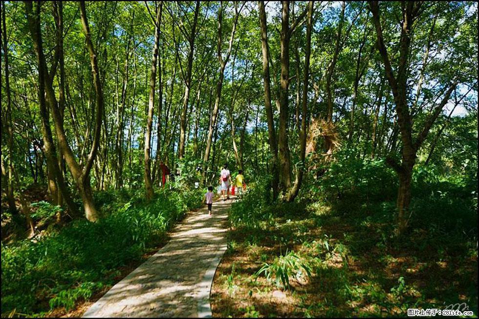【春天，广西桂林灌阳县向您发出邀请！】熊家寨湿地公园 - 游山玩水 - 葫芦岛生活社区 - 葫芦岛28生活网 hld.28life.net