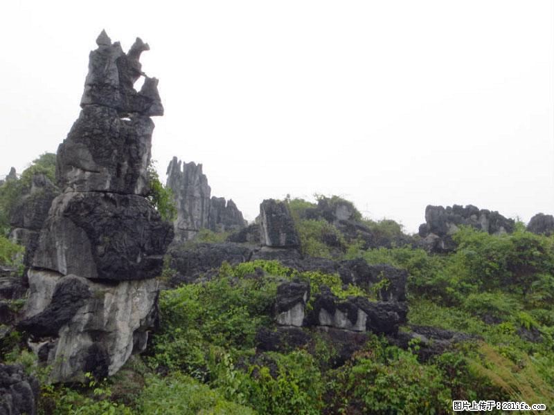 桂林旅游名城景点：灌阳文市石林 - 游山玩水 - 葫芦岛生活社区 - 葫芦岛28生活网 hld.28life.net