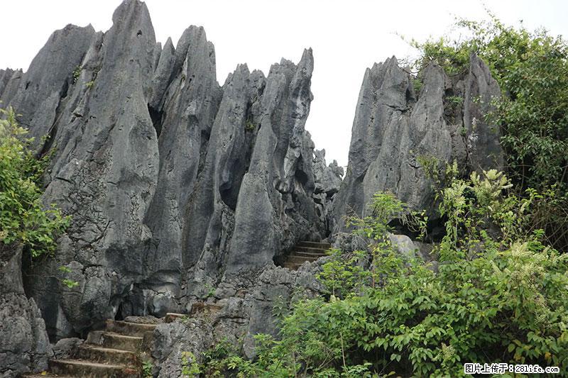 桂林旅游名城景点：灌阳文市石林 - 游山玩水 - 葫芦岛生活社区 - 葫芦岛28生活网 hld.28life.net