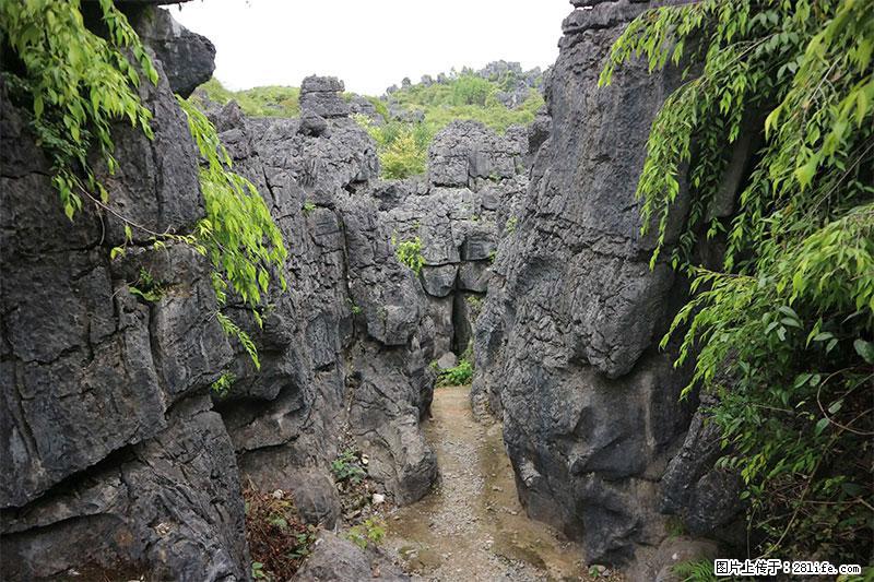 桂林旅游名城景点：灌阳文市石林 - 游山玩水 - 葫芦岛生活社区 - 葫芦岛28生活网 hld.28life.net