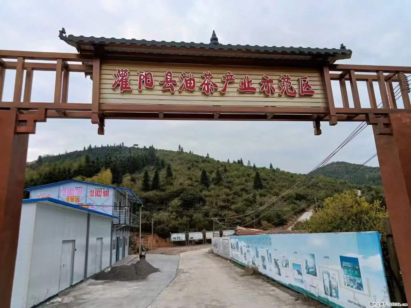 【灌阳县油茶产业示范区】一个有着充实的精神生活的人，对待身外之物自会有一种淡泊的态度 - 土特产 - 饮食特产 - 葫芦岛分类信息 - 葫芦岛28生活网 hld.28life.net