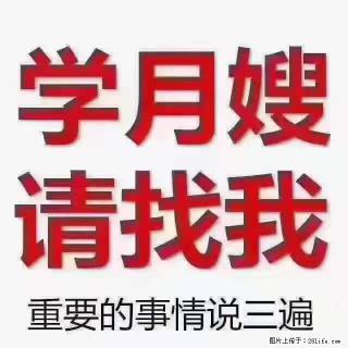 为什么要学习月嫂，育婴师？ - 葫芦岛28生活网 hld.28life.net
