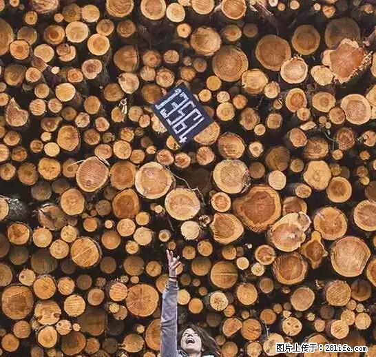 辞掉工作周游世界？现在他们在洗厕所…… - 游山玩水 - 葫芦岛生活社区 - 葫芦岛28生活网 hld.28life.net