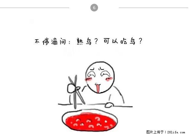 千万不要和这9种哈卵一起吃火锅！ - 美食天地 - 葫芦岛生活社区 - 葫芦岛28生活网 hld.28life.net