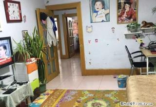 莲花三村 750元 2室2厅1卫 中装采光好，拎包随时就可以 - 葫芦岛28生活网 hld.28life.net