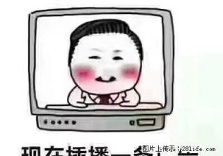 新地号二层 桥西有院 有家具无家电 - 葫芦岛28生活网 hld.28life.net