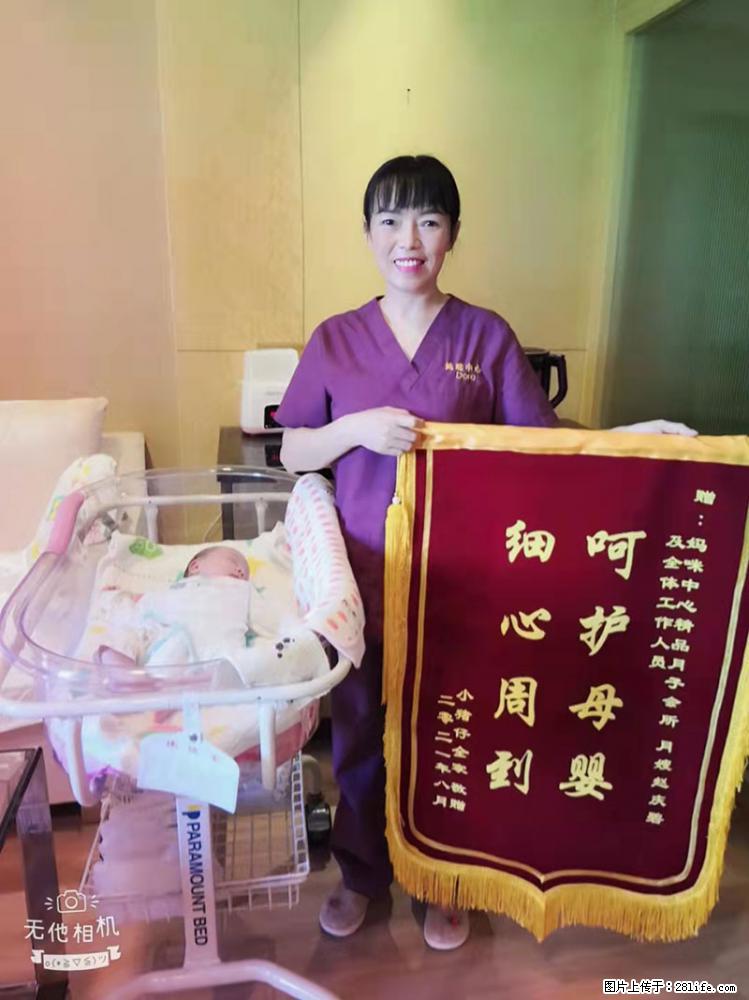 上海高端月子会所招新手月嫂，零基础带教，包吃住 - 职场交流 - 葫芦岛生活社区 - 葫芦岛28生活网 hld.28life.net
