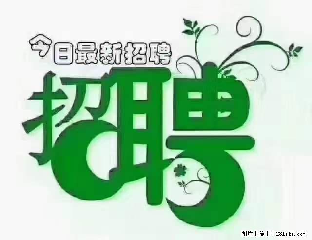 【招聘】产康师 - 职场交流 - 葫芦岛生活社区 - 葫芦岛28生活网 hld.28life.net
