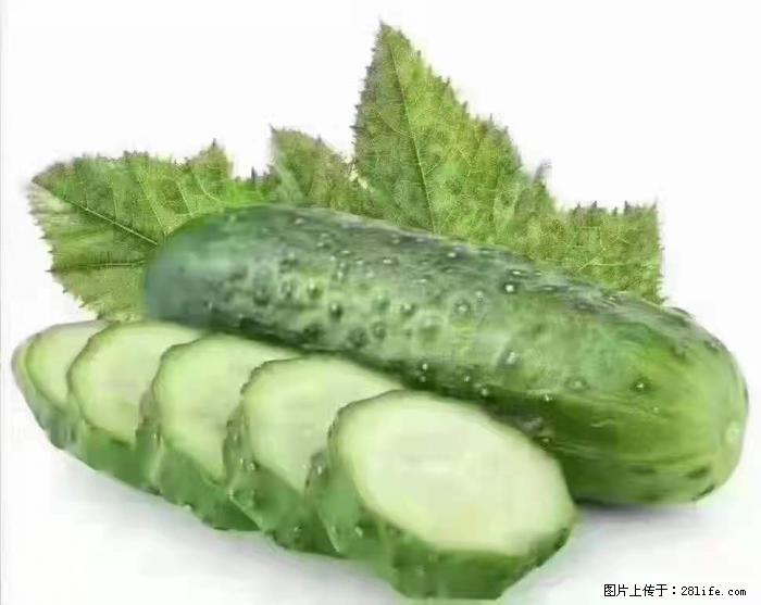 【生活小常识】吃黄瓜的好处 - 生活百科 - 葫芦岛生活社区 - 葫芦岛28生活网 hld.28life.net