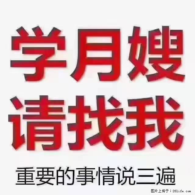 【招聘】月嫂，上海徐汇区 - 职场交流 - 葫芦岛生活社区 - 葫芦岛28生活网 hld.28life.net