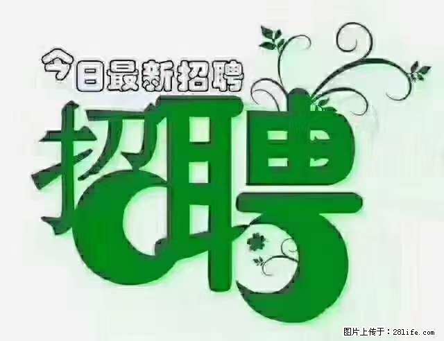 上海青浦区招仓管 - 职场交流 - 葫芦岛生活社区 - 葫芦岛28生活网 hld.28life.net