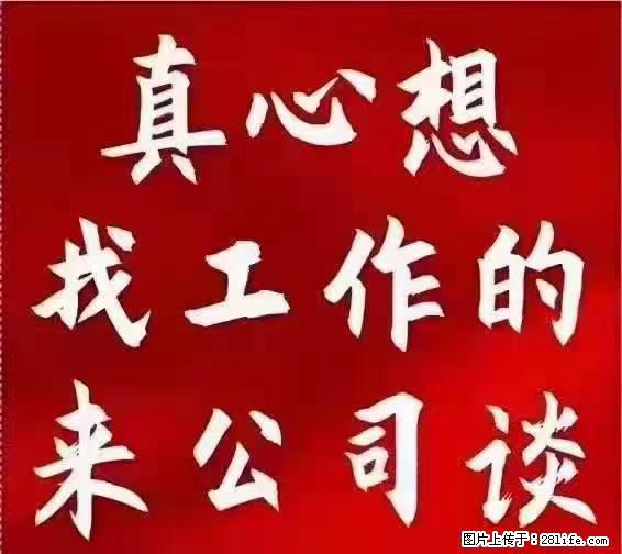 【上海】国企，医院招两名男保安，55岁以下，身高1.7米以上，无犯罪记录不良嗜好 - 职场交流 - 葫芦岛生活社区 - 葫芦岛28生活网 hld.28life.net