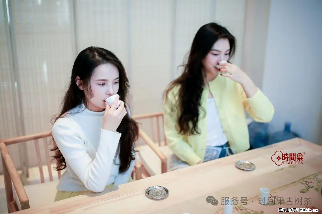 时间果百年古树龙珠普洱生茶 - 购物交流 - 葫芦岛生活社区 - 葫芦岛28生活网 hld.28life.net