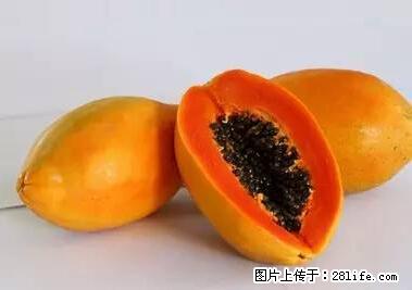 晕车、脚气、牙齿变黄、皮肤粗糙？学会这些三分钟搞定！ - 葫芦岛生活资讯 - 葫芦岛28生活网 hld.28life.net