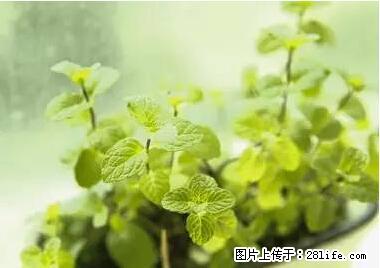 晕车、脚气、牙齿变黄、皮肤粗糙？学会这些三分钟搞定！ - 葫芦岛生活资讯 - 葫芦岛28生活网 hld.28life.net