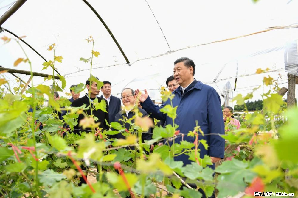 习近平赴广西考察调研 - 葫芦岛生活资讯 - 葫芦岛28生活网 hld.28life.net
