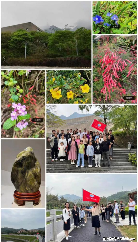 “粤灌文化 美好生活”油茶文化主题活动在广东深圳成功举办 - 葫芦岛生活资讯 - 葫芦岛28生活网 hld.28life.net