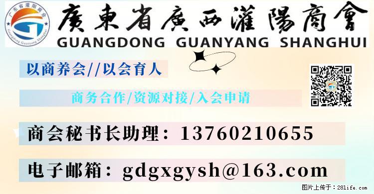 “粤灌文化 美好生活”油茶文化主题活动在广东深圳成功举办 - 葫芦岛生活资讯 - 葫芦岛28生活网 hld.28life.net