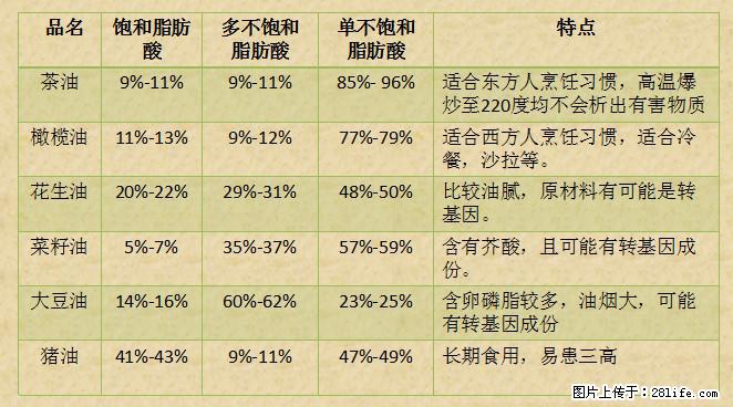 揭秘茶油的5大核心营养成分！被称为人体健康的“守护盾”！ - 葫芦岛生活资讯 - 葫芦岛28生活网 hld.28life.net