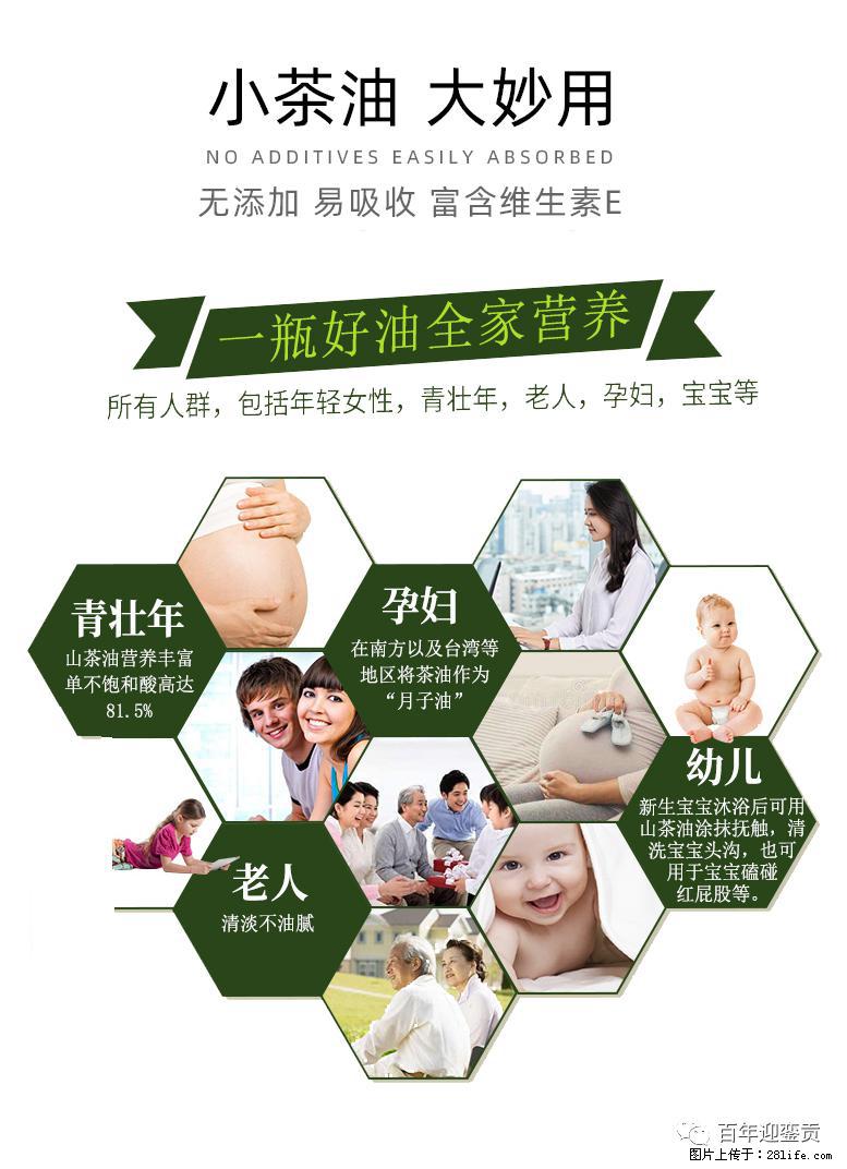 世界没有真相，只有认知，最好的食用油是中国的山茶油！ - 葫芦岛生活资讯 - 葫芦岛28生活网 hld.28life.net