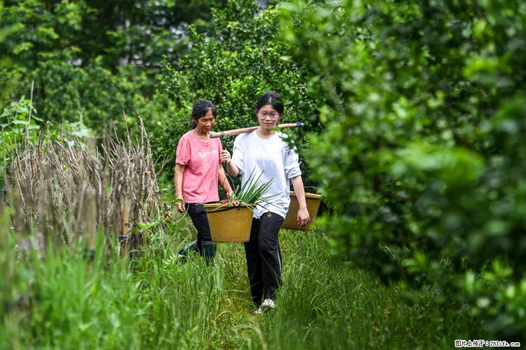 全网追的“扁担女孩”，找了一份暑假工，时薪12元 - 葫芦岛生活资讯 - 葫芦岛28生活网 hld.28life.net