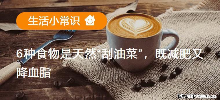 【生活小常识】6种食物是天然“刮油菜”，既减肥又降血脂 - 葫芦岛生活资讯 - 葫芦岛28生活网 hld.28life.net