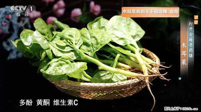 比牛奶补钙还厉害！凉血解毒、稳血糖...这菜冬天必吃，很多人却当草 - 葫芦岛生活资讯 - 葫芦岛28生活网 hld.28life.net
