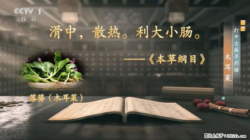 比牛奶补钙还厉害！凉血解毒、稳血糖...这菜冬天必吃，很多人却当草 - 葫芦岛生活资讯 - 葫芦岛28生活网 hld.28life.net