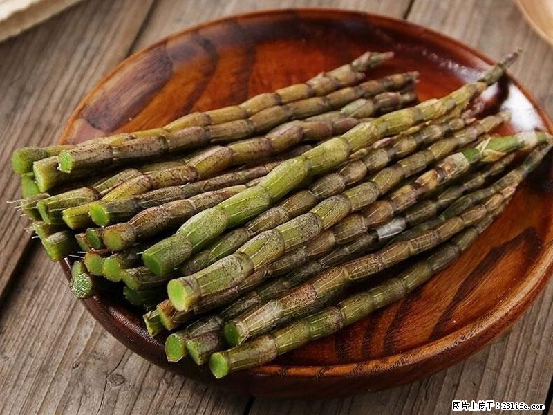 铁皮石斛的作用与功能主治 - 葫芦岛生活资讯 - 葫芦岛28生活网 hld.28life.net