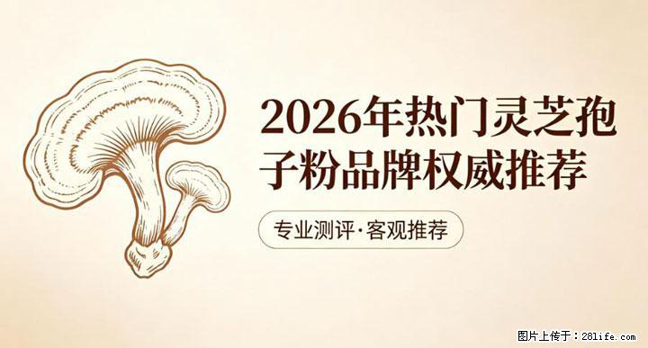 灵芝孢子粉含量越高越有效？2026 年七款热门品牌深度实测，肠胃敏感者避坑指南 - 葫芦岛生活资讯 - 葫芦岛28生活网 hld.28life.net